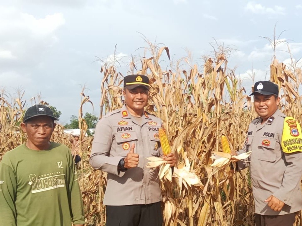 Petani Bentok Kampung