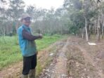 Petani-Desa-Bumi-Asih-Menunjukkan-Jut-yang-rusak JUT