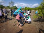 DLH-Kalsel-Mangrove Mangrove