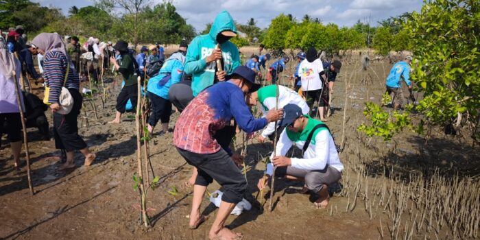 Mangrove
