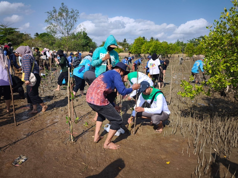 Mangrove