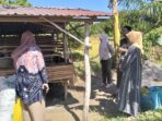 Kambing