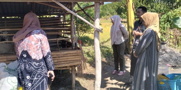 Kambing