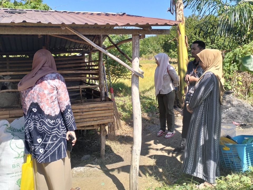 Kambing